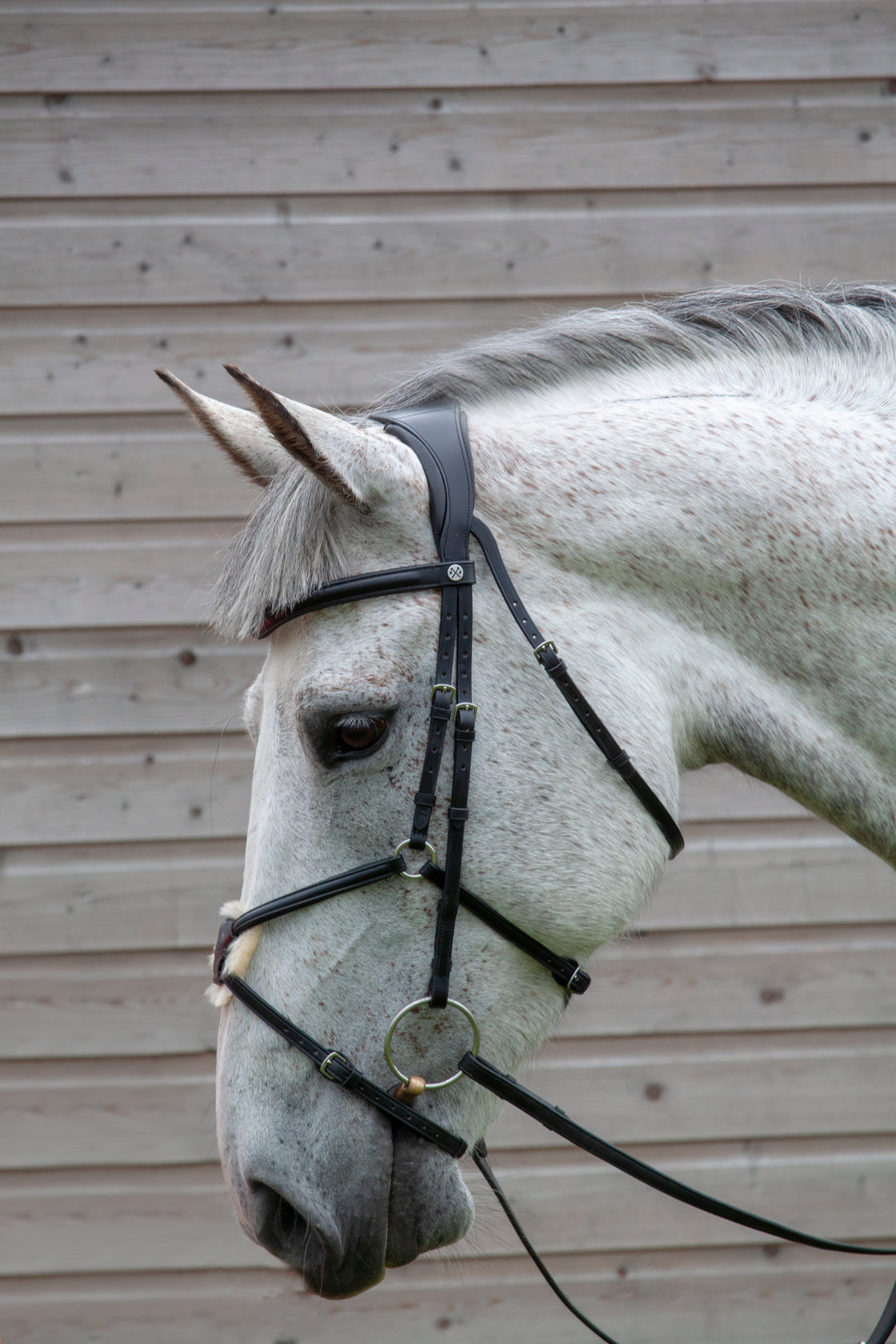 horse bridle grackle noseband black