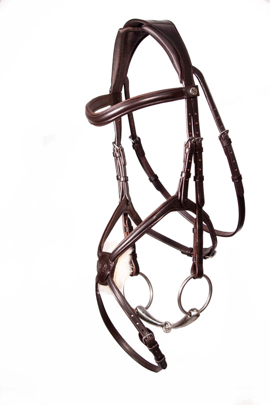 grackle bridle brown