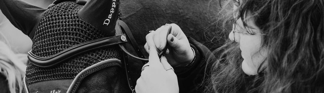 How To Measure for a Bridle