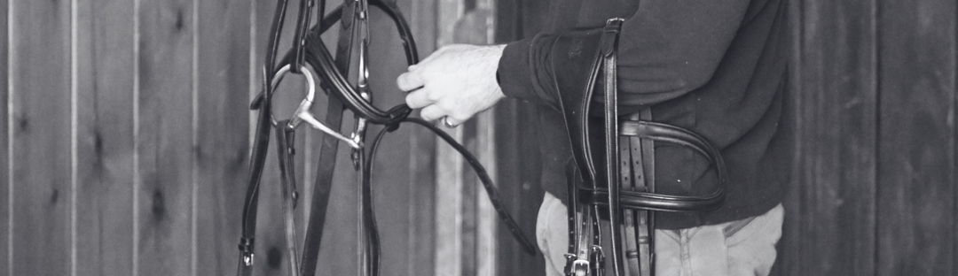 How Much Does A Bridle Cost?