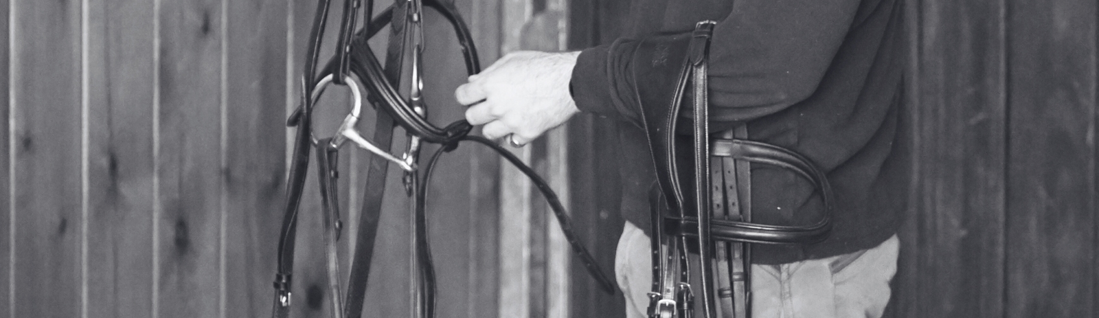 How Much Does A Bridle Cost?
