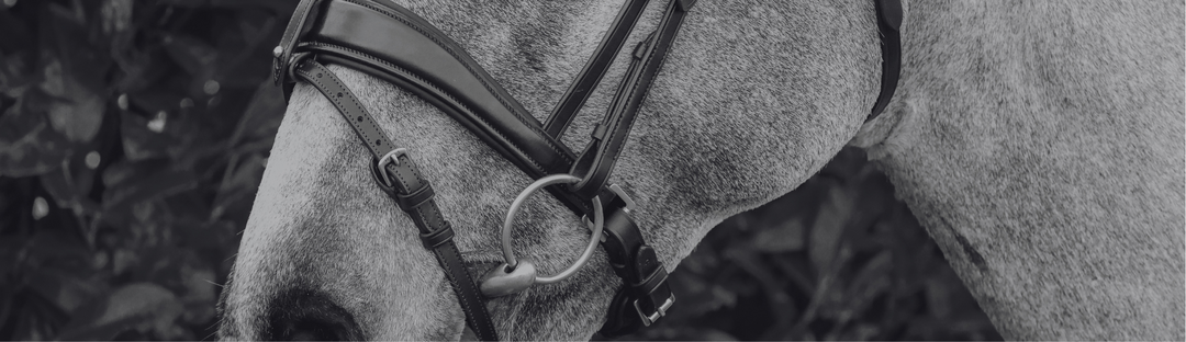 What Is A Crank Noseband?