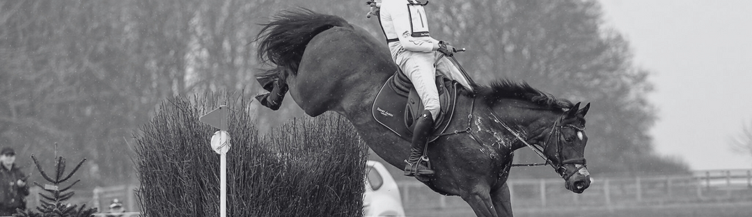 5 of the Best Rubber Reins for Cross Country and Eventing
