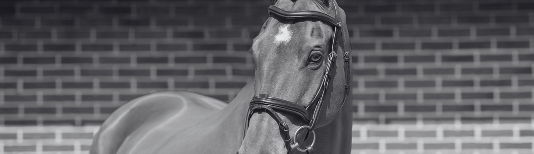 Why Do You Offer Build Your Own Bridle?