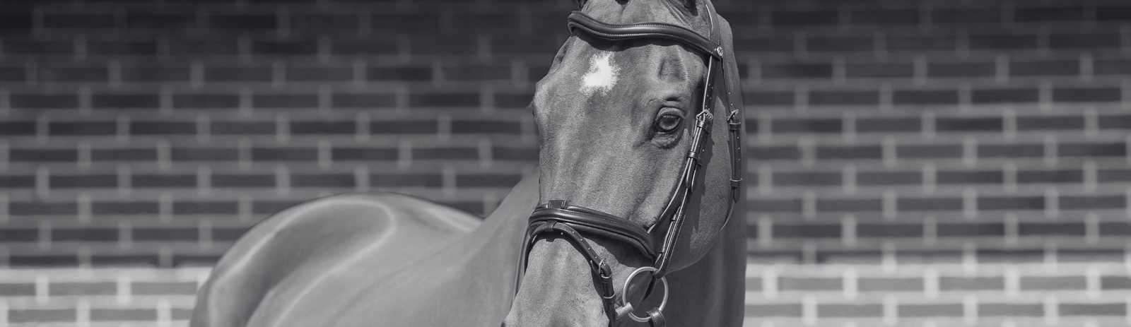 Why Do You Offer Build Your Own Bridle?