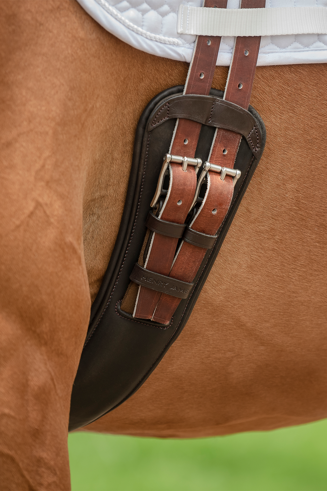 Anatomic Leather Short Girth