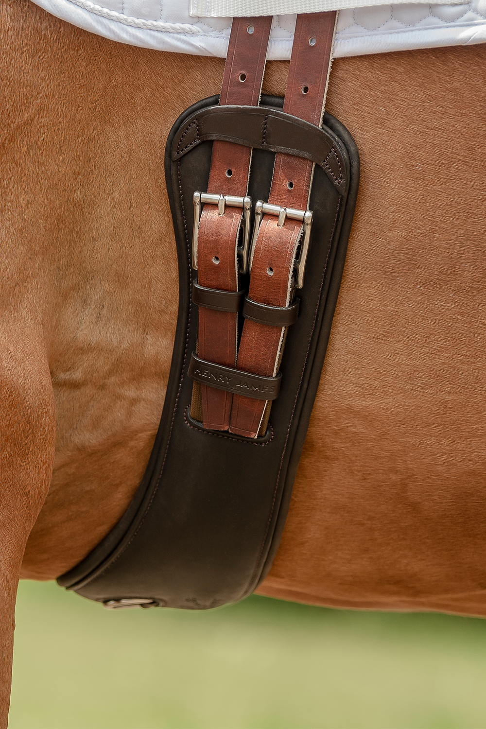 Anatomic Short Leather Girth Brown