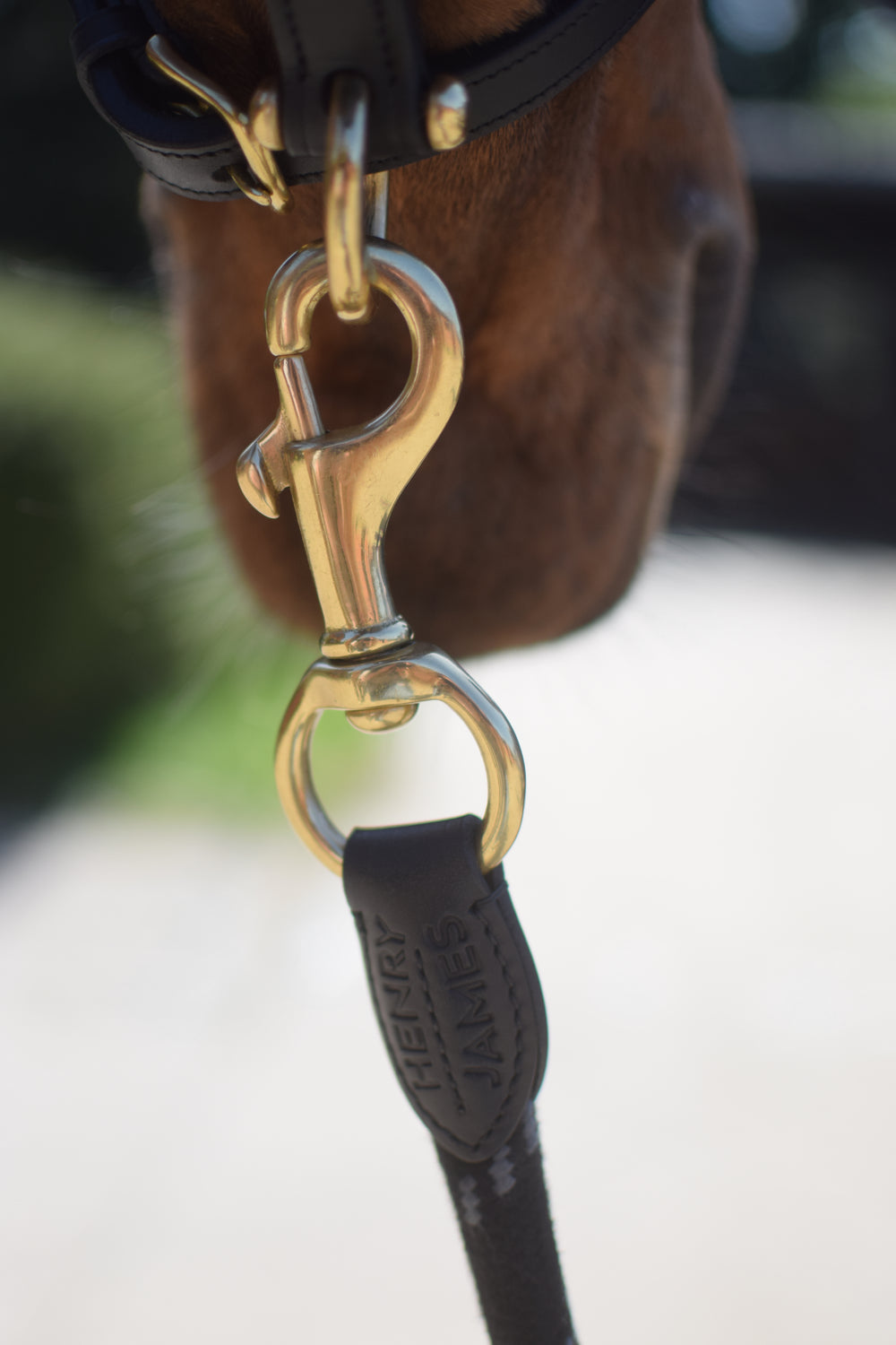 Lead Rope