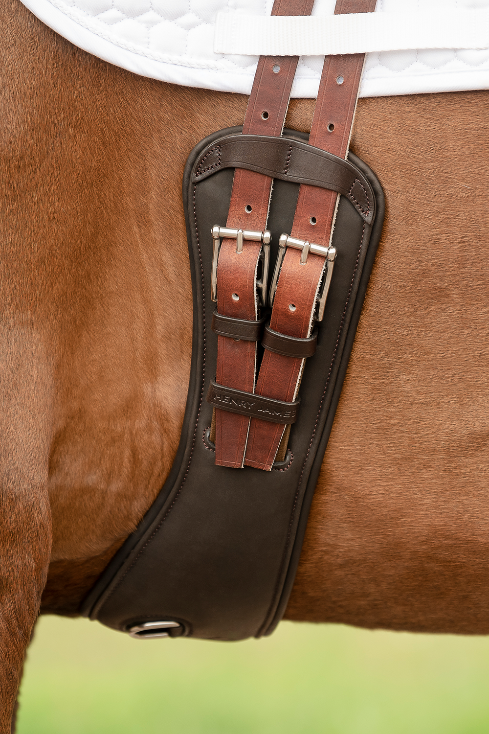 anatomical short leather girth brown