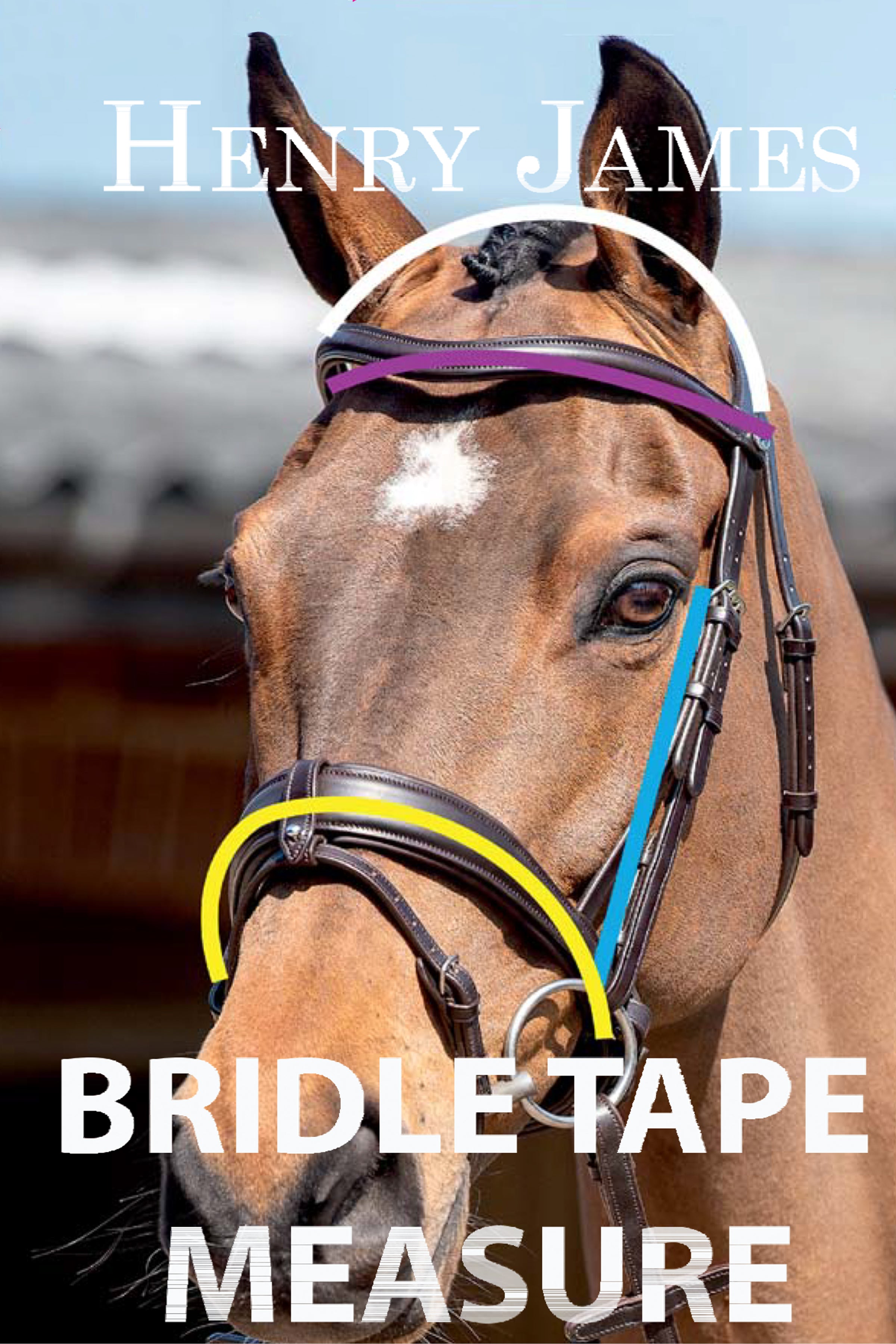 horse bridle measuring tape 