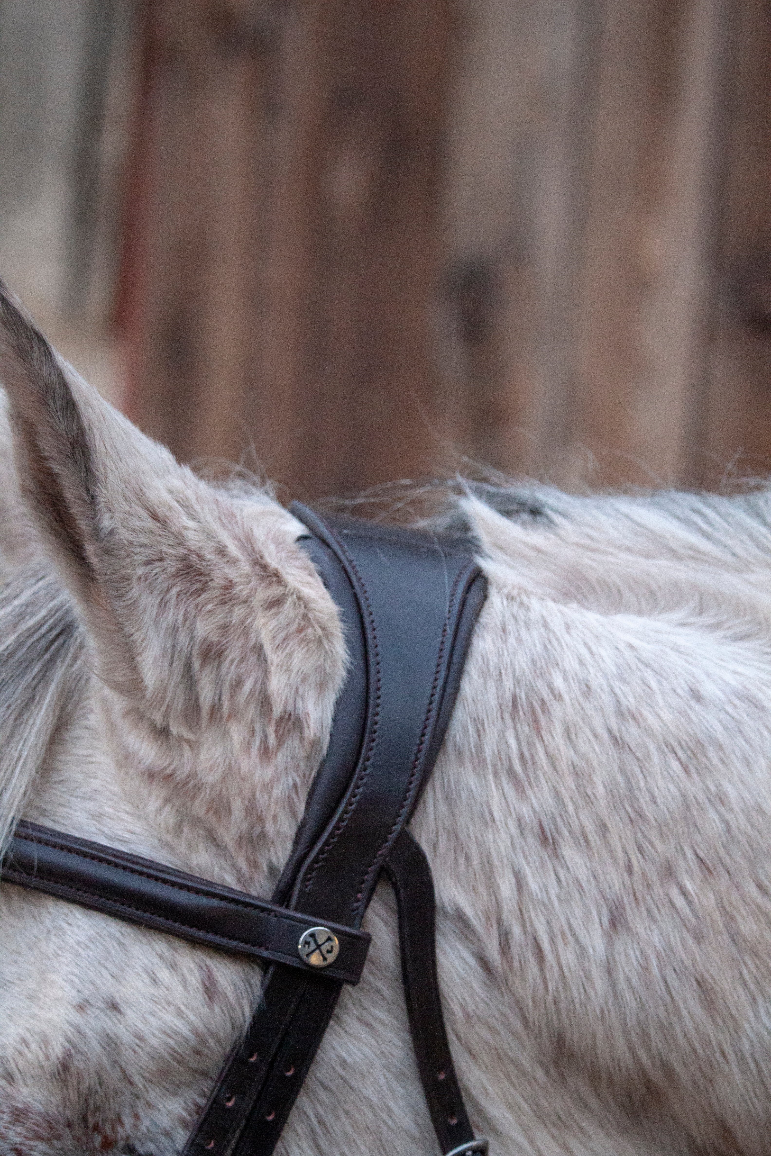 Sheepskin Grackle Bridle – Henry James Saddlery