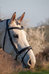 Comfort Flash Bridle
