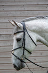 Mexican Grackle Bridle