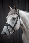 Dressage bridle