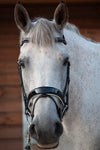 Patent Dressage Bridle With White Padding