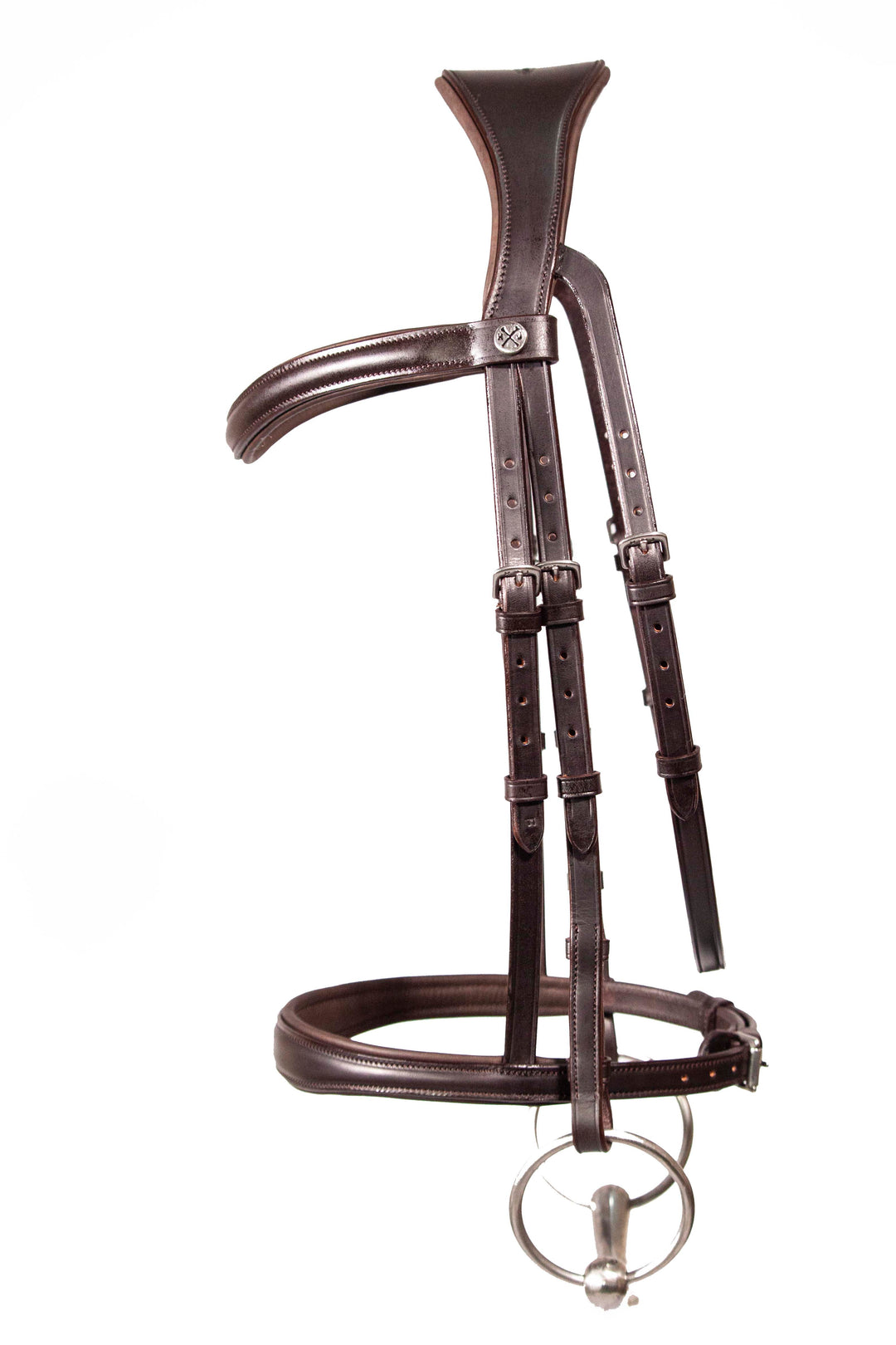 Cavesson bridle