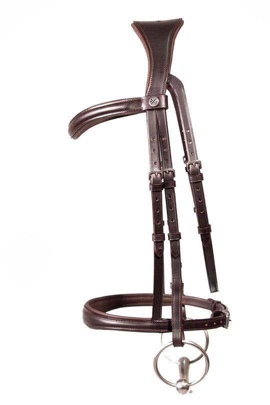 Cavesson bridle
