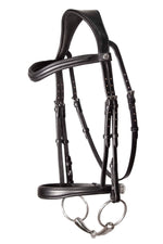 Cavesson bridle
