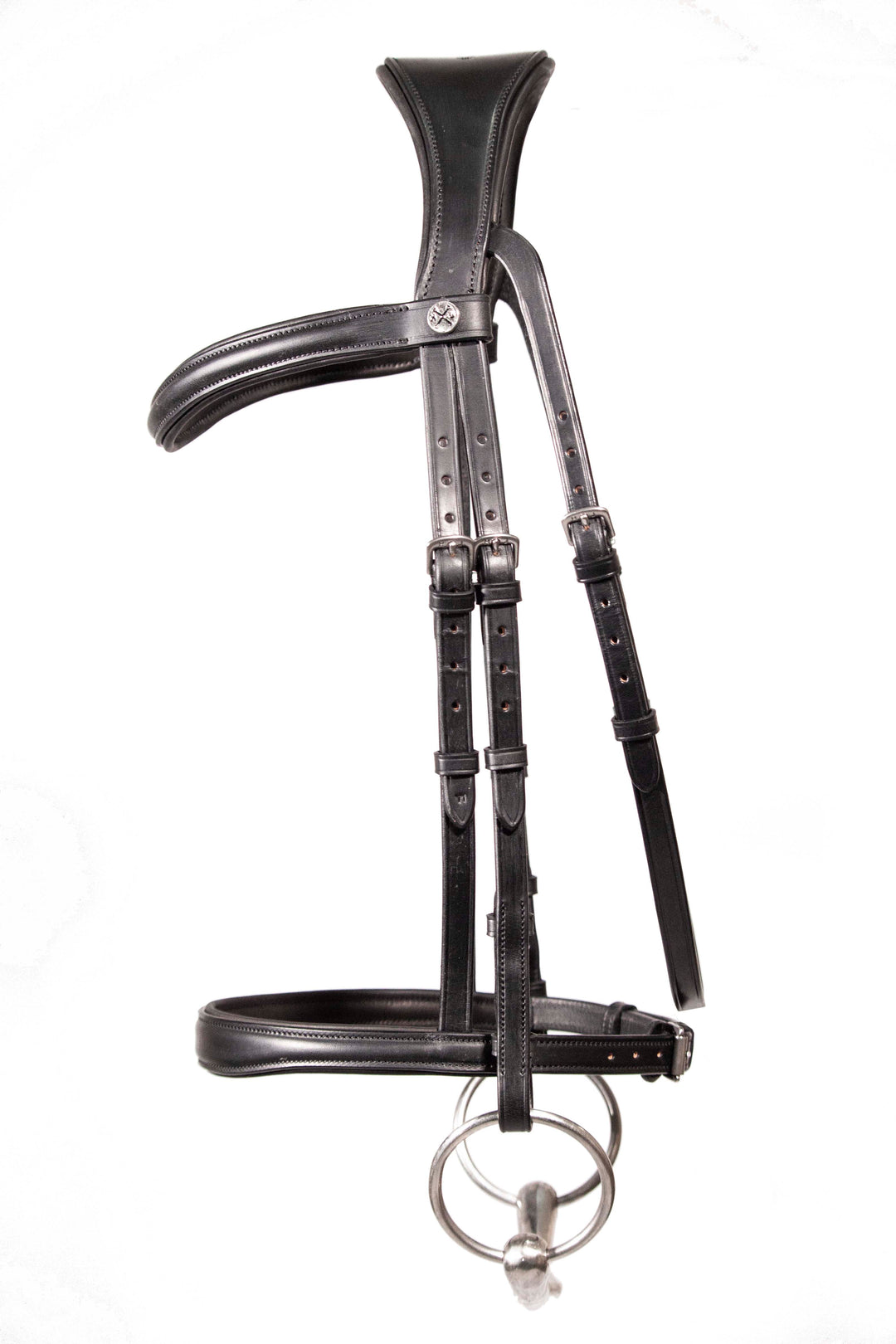 Cavesson bridle