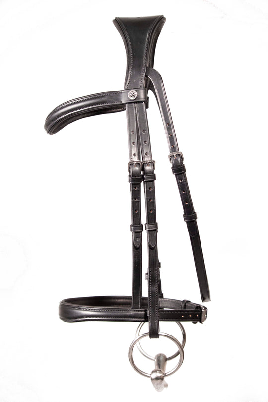 Cavesson bridle