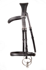 Cavesson bridle