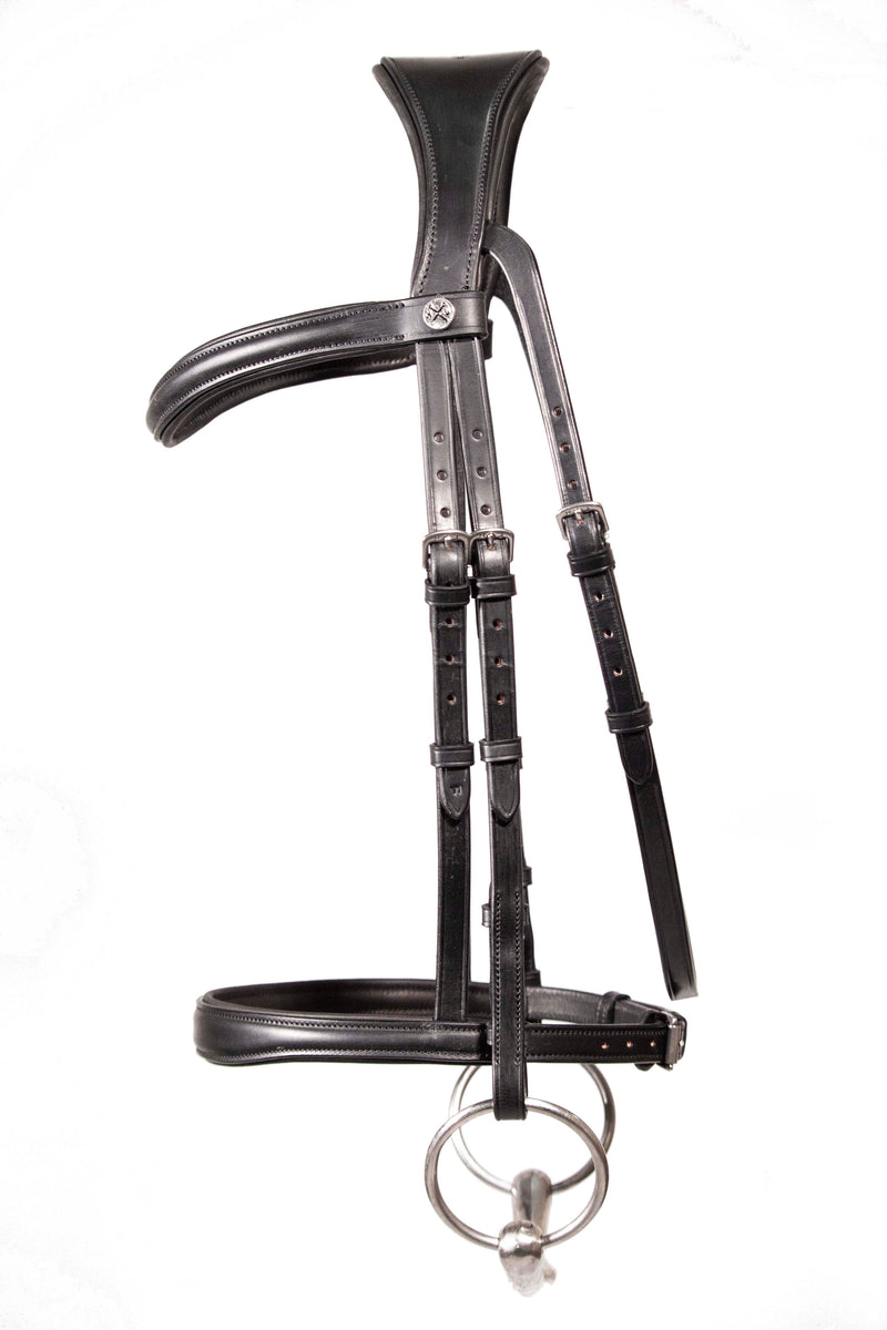 Cavesson bridle
