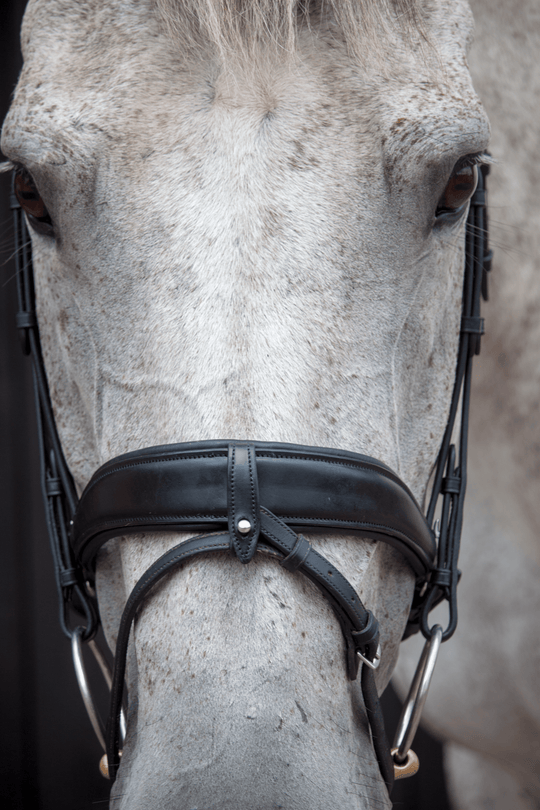 Dressage bridle