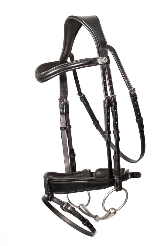 Dressage bridle