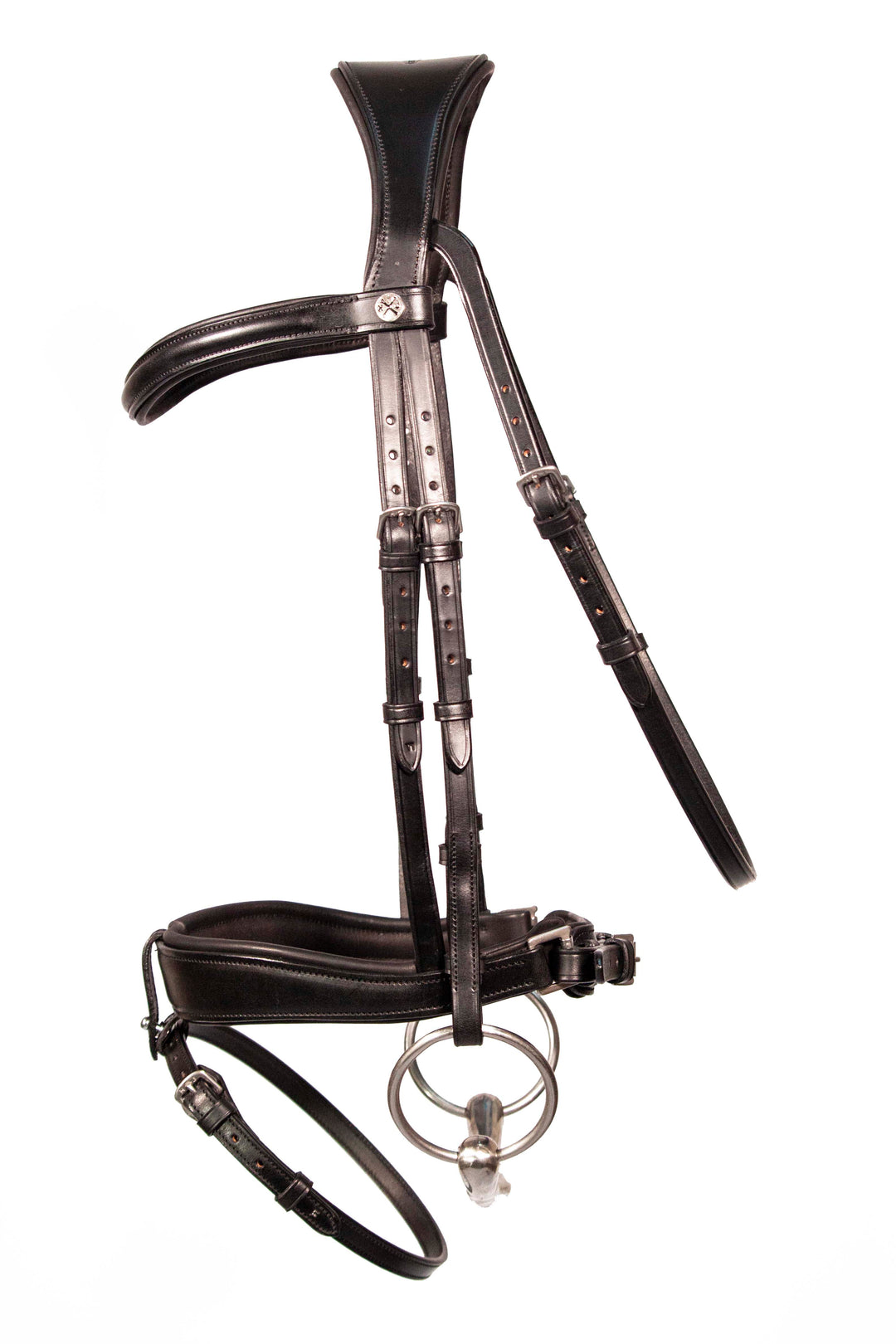 Dressage bridle