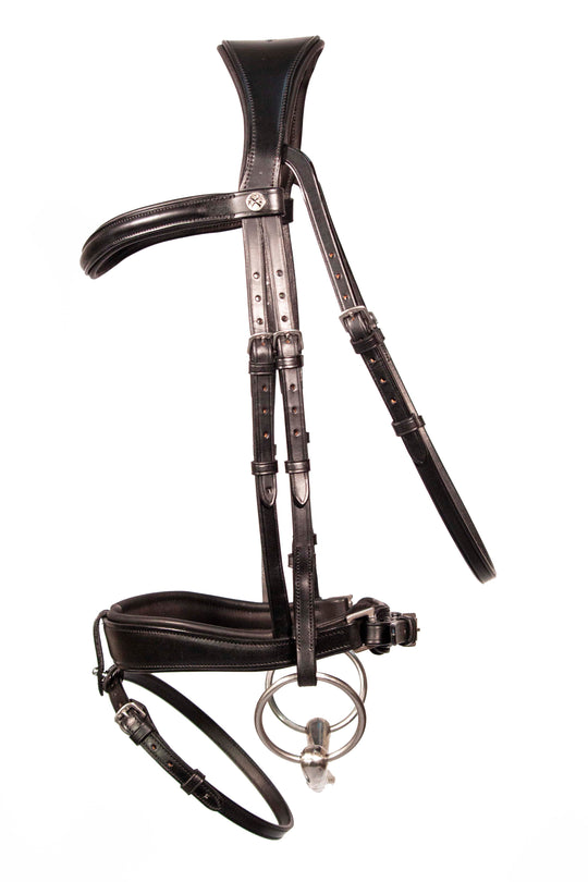 Dressage bridle