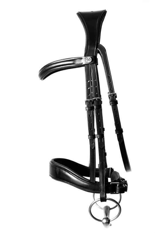 Dressage bridle