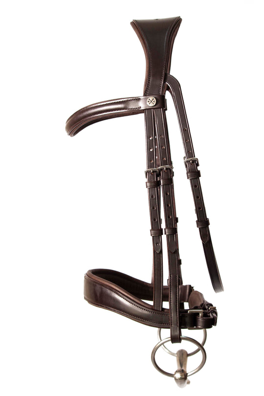 Dressage bridle