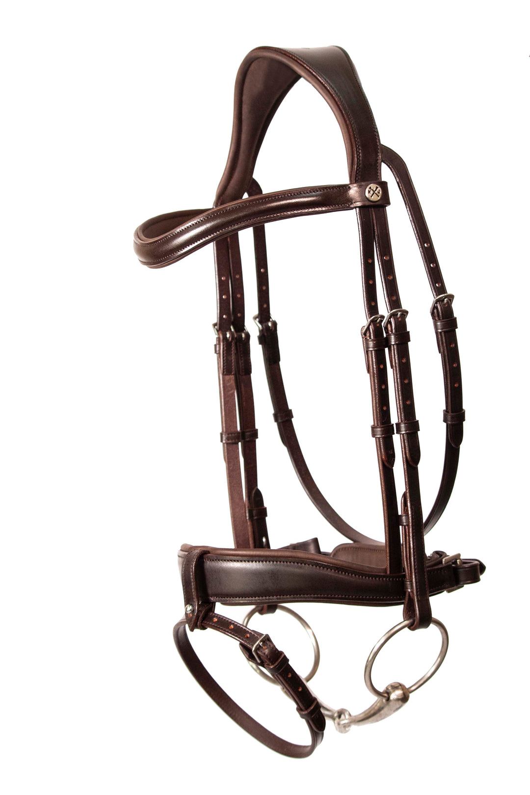Dressage bridle