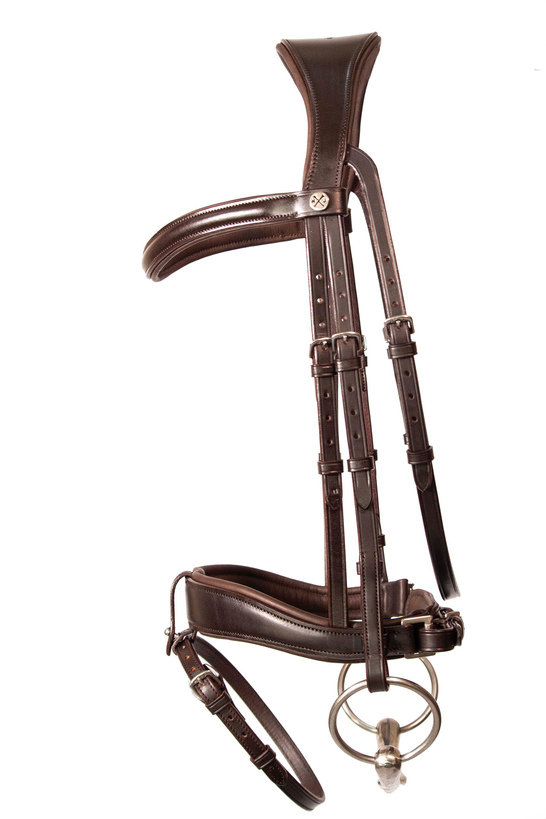 Dressage bridle