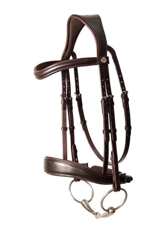 Dressage bridle