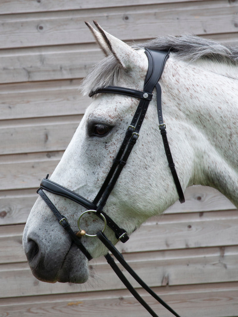 Flash Bridle