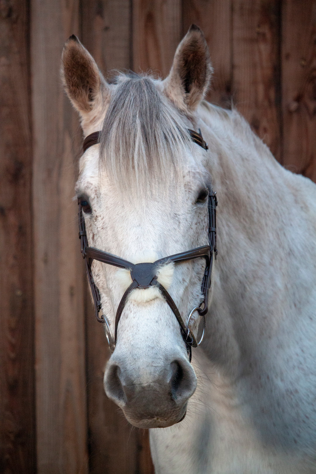 Sheepskin Grackle Bridle