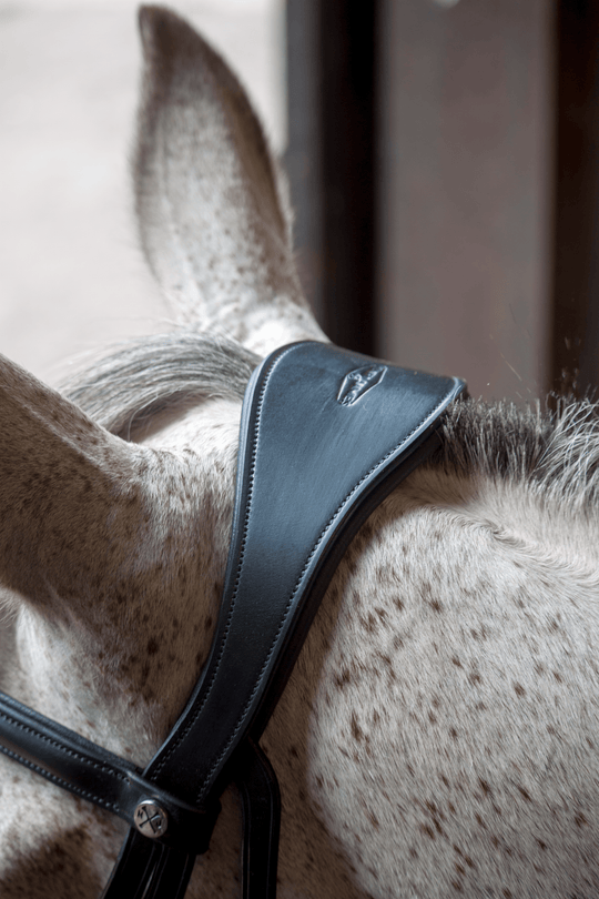 Patent Dressage Bridle With White Padding