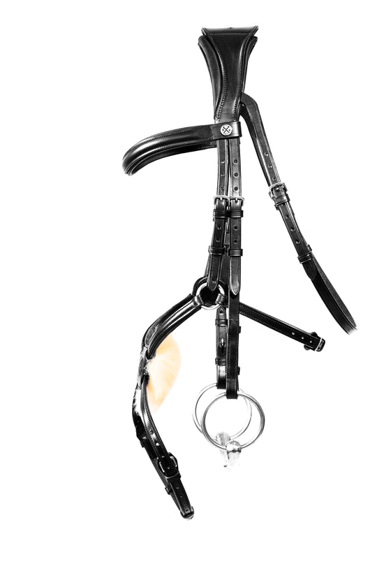 Mexican Grackle Bridle