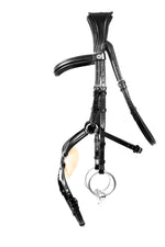 Mexican Grackle Bridle
