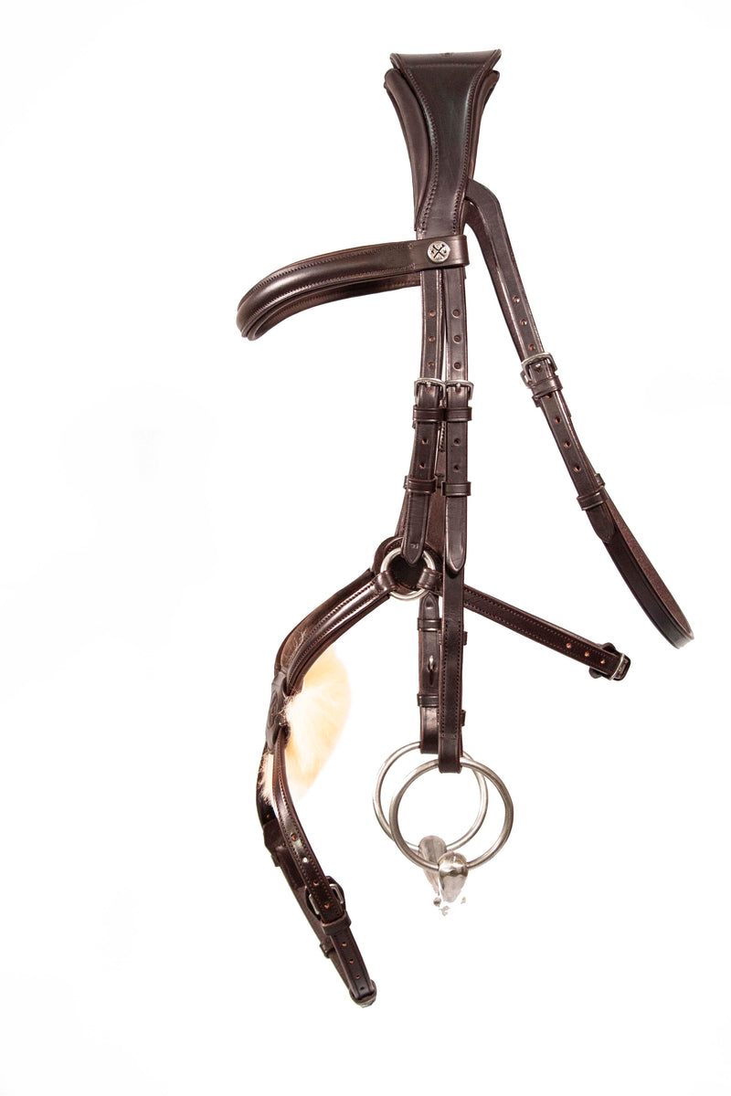 Mexican Grackle Bridle