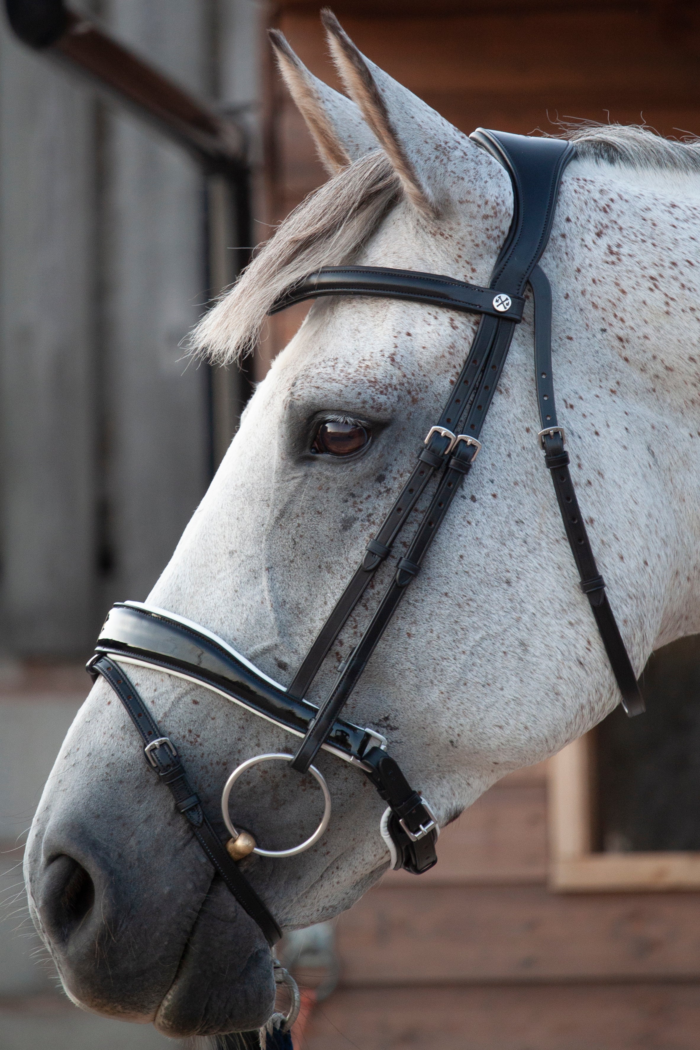 Patent Dressage Bridle With White Padding – Henry James Saddlery